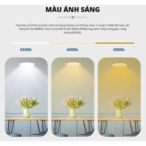 Đèn âm trần chỉnh góc Panasonic