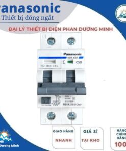 Aptomat chống giật Panasonic BBDE25031CNV 2P 50A