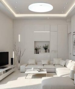 Đèn ốp trần Panasonic 2G