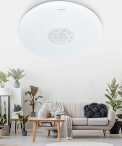 Đèn trần loa Panasonic HHGXS340188 điều khiển ứng dụng